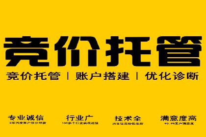 从小白到高手：百度竞价赚钱全记录